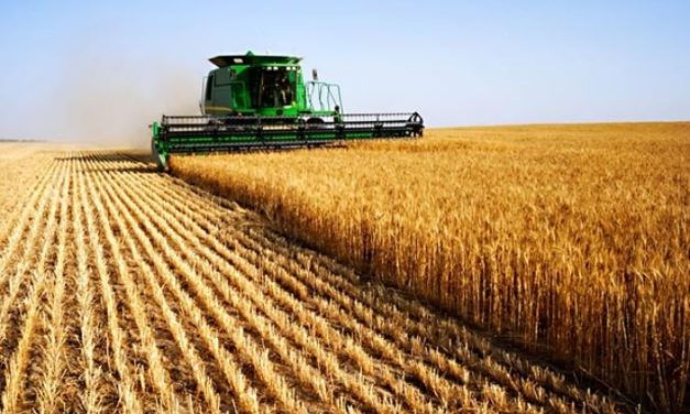 Les espaces productifs agricoles en France