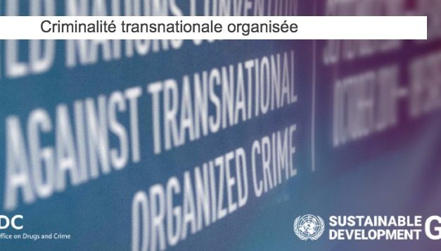 La criminalité transnationale