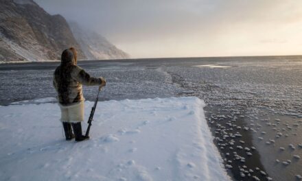 Image illustrant l'article Environnement arctique de Clio Prépas