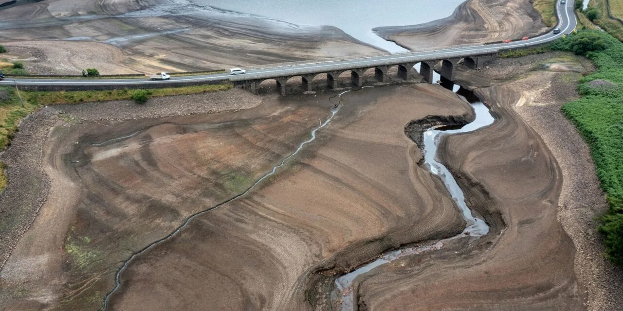 Environnements et crises