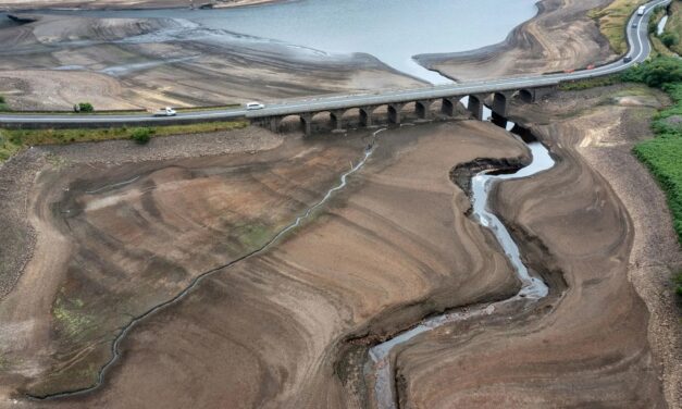 Environnements et crises